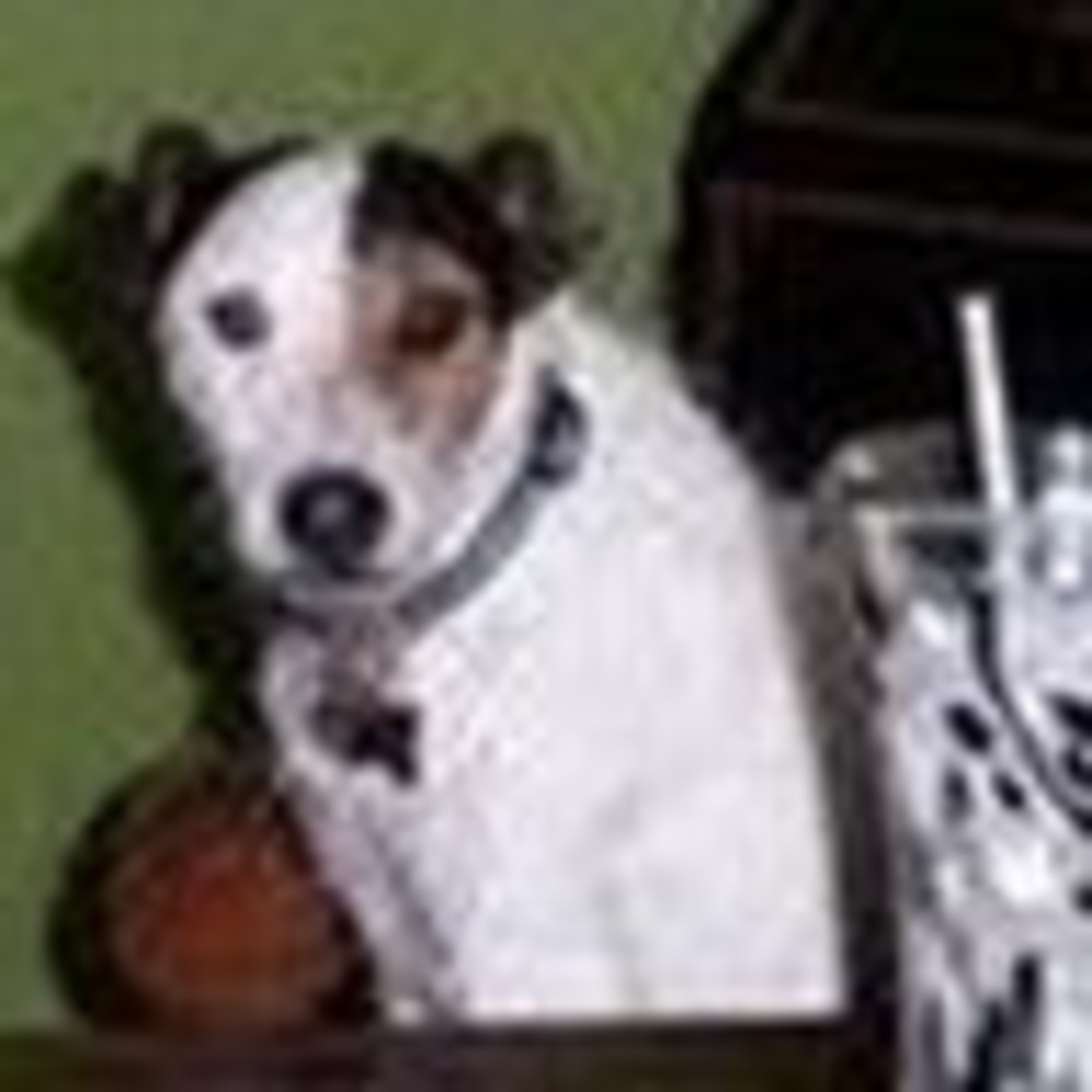 Meet your Posher, Stacy